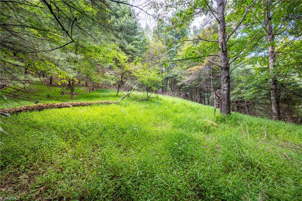 0 Cox Store Road Southwest Floyd, VA 24091 - Photo 12 of 39