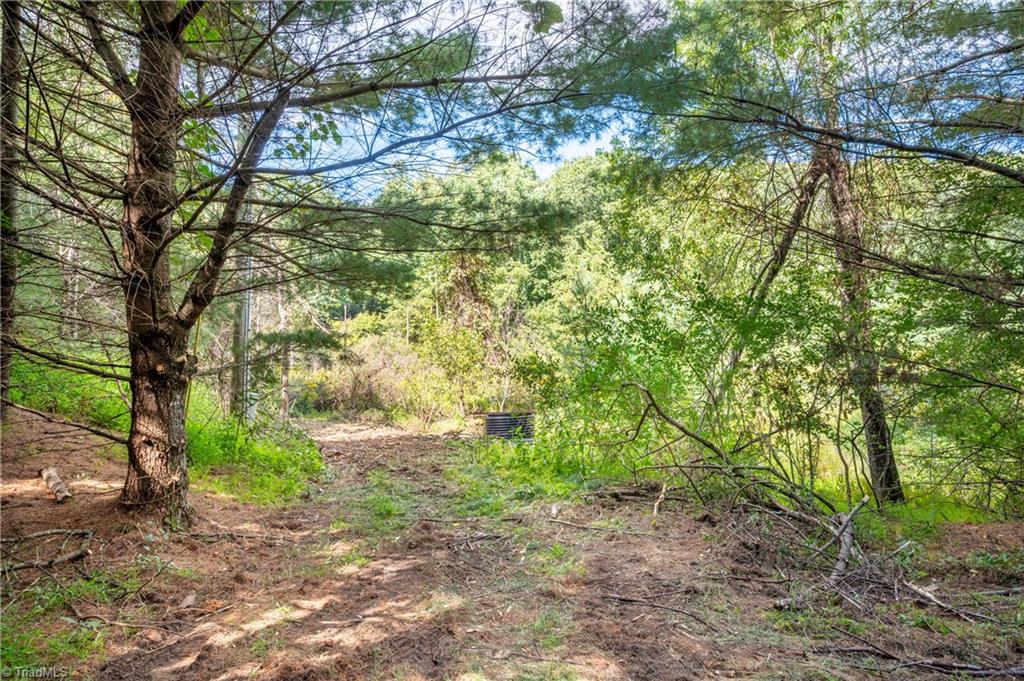 0 Cox Store Road Southwest Floyd, VA 24091 - Photo 14 of 39