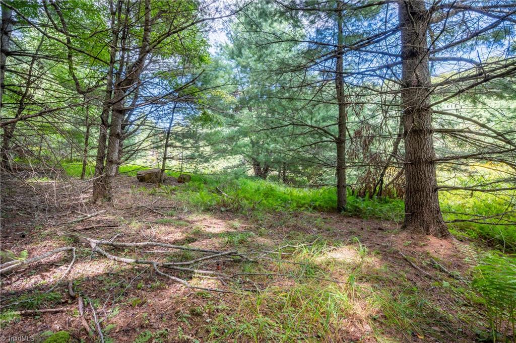 0 Cox Store Road Southwest Floyd, VA 24091 - Photo 15 of 39