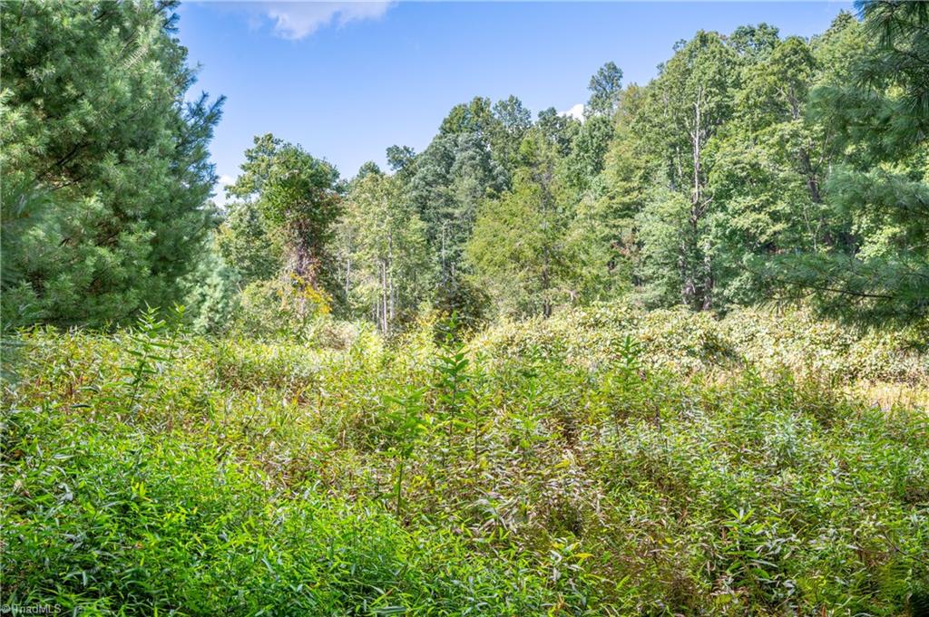 0 Cox Store Road Southwest Floyd, VA 24091 - Photo 16 of 39