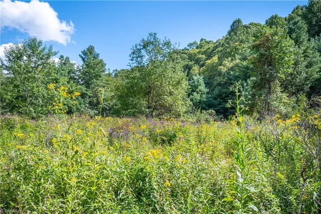 $179,900 | 0 Cox Store Road Southwest, Floyd, VA 24091