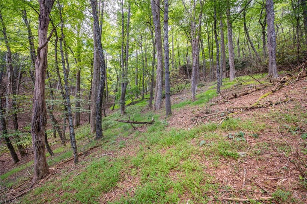 0 Cox Store Road Southwest Floyd, VA 24091 - Photo 18 of 39