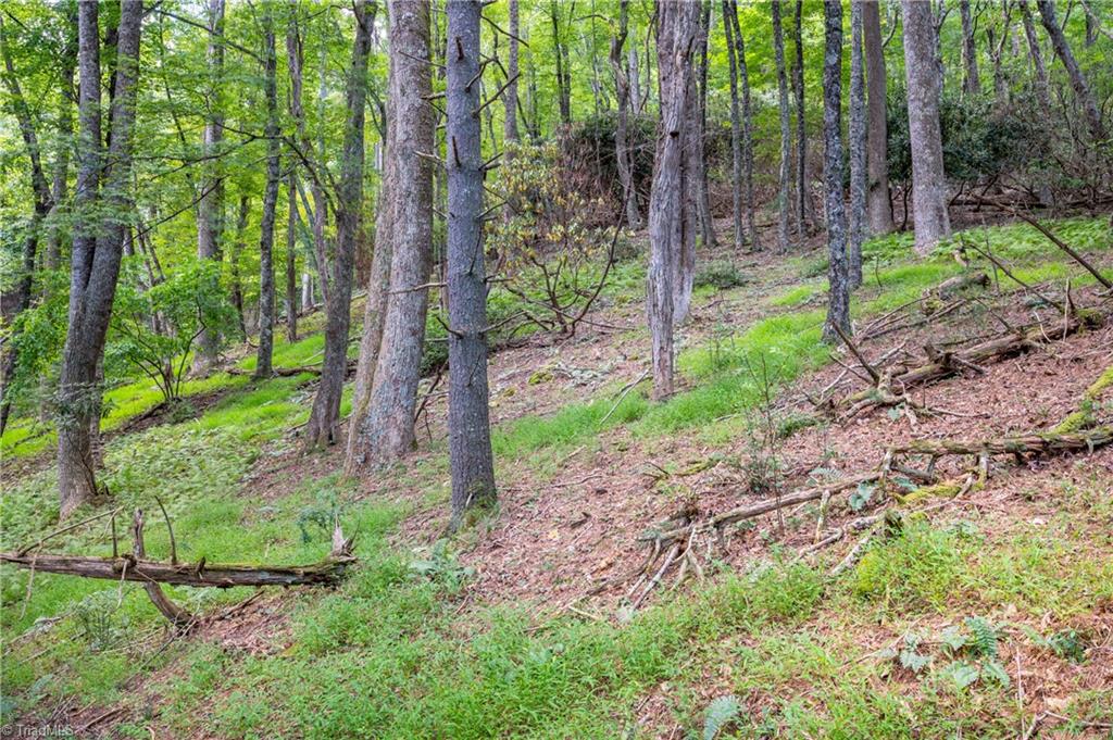 0 Cox Store Road Southwest Floyd, VA 24091 - Photo 19 of 39