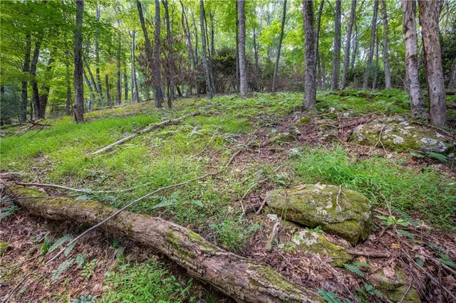 $179,900 | 0 Cox Store Road Southwest, Floyd, VA 24091