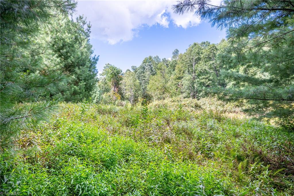 0 Cox Store Road Southwest Floyd, VA 24091 - Photo 2 of 39