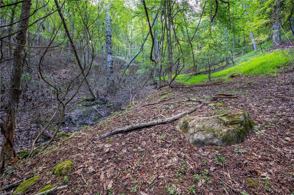 0 Cox Store Road Southwest Floyd, VA 24091 - Photo 21 of 39