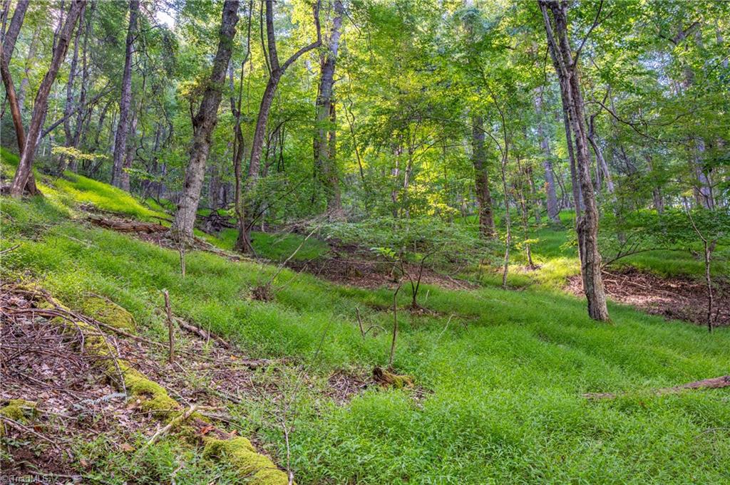 0 Cox Store Road Southwest Floyd, VA 24091 - Photo 22 of 39
