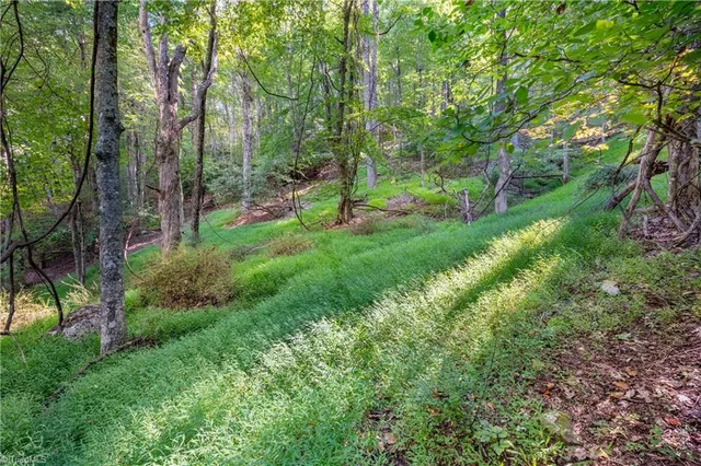 $179,900 | 0 Cox Store Road Southwest, Floyd, VA 24091