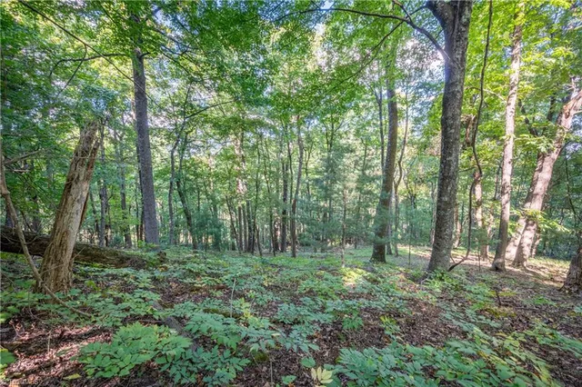 $179,900 | 0 Cox Store Road Southwest, Floyd, VA 24091