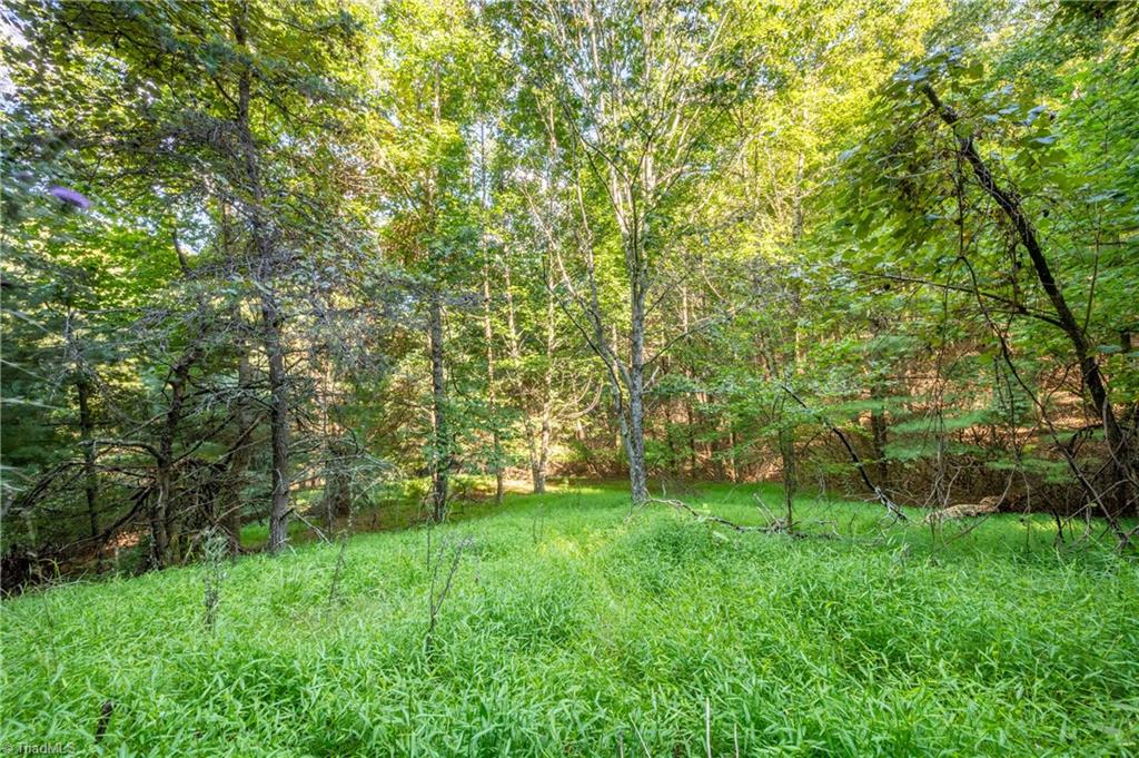 0 Cox Store Road Southwest Floyd, VA 24091 - Photo 25 of 39