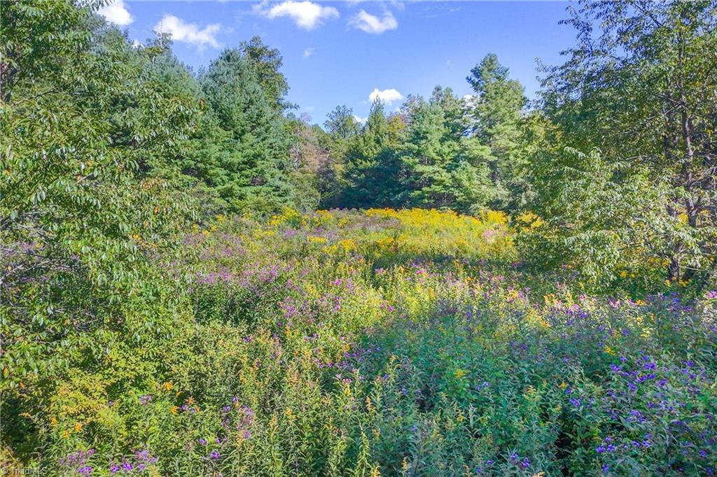 0 Cox Store Road Southwest Floyd, VA 24091 - Photo 26 of 39