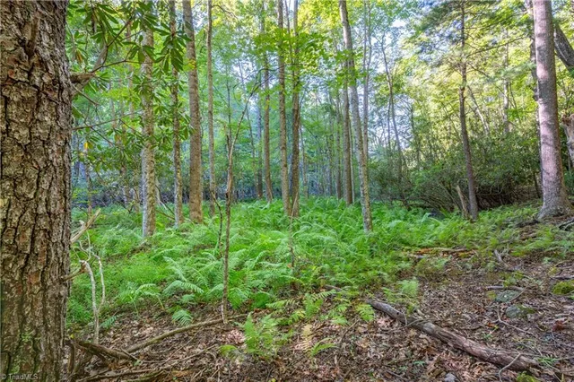 $179,900 | 0 Cox Store Road Southwest, Floyd, VA 24091