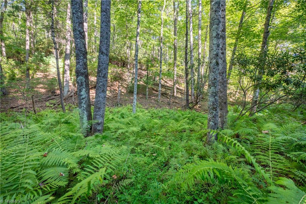 0 Cox Store Road Southwest Floyd, VA 24091 - Photo 28 of 39