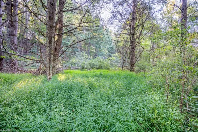 $179,900 | 0 Cox Store Road Southwest, Floyd, VA 24091