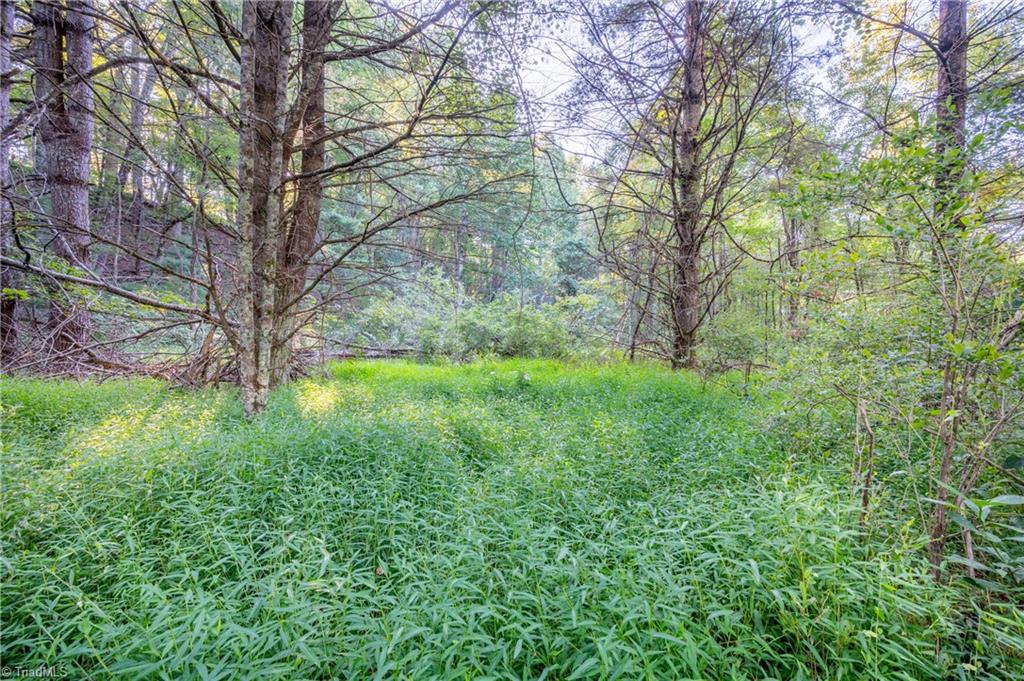 0 Cox Store Road Southwest Floyd, VA 24091 - Photo 30 of 39