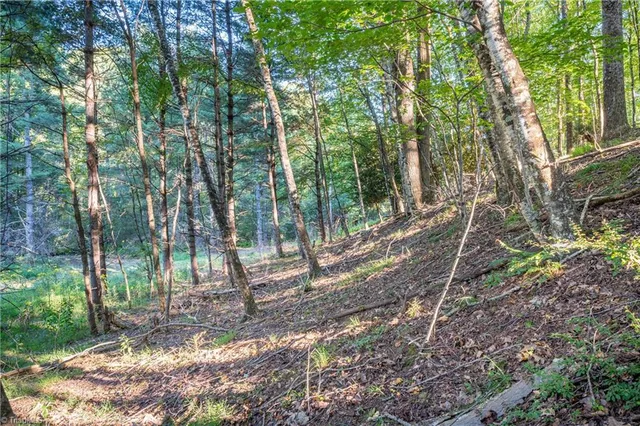 $179,900 | 0 Cox Store Road Southwest, Floyd, VA 24091