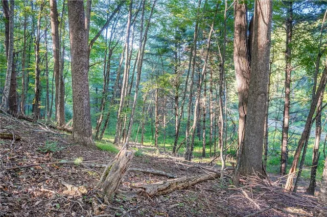 $179,900 | 0 Cox Store Road Southwest, Floyd, VA 24091