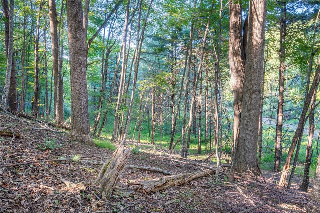 0 Cox Store Road Southwest Floyd, VA 24091 - Photo 32 of 39