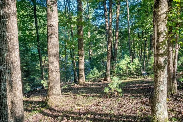 $179,900 | 0 Cox Store Road Southwest, Floyd, VA 24091