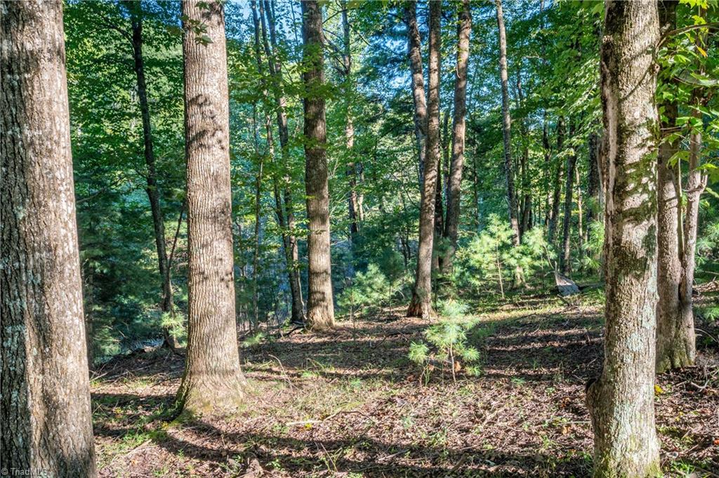 0 Cox Store Road Southwest Floyd, VA 24091 - Photo 33 of 39