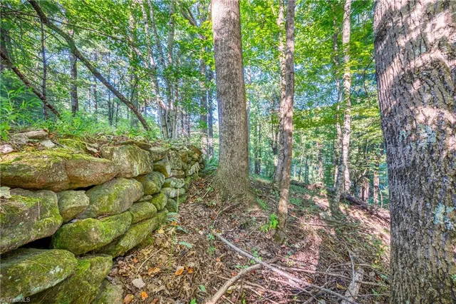 $179,900 | 0 Cox Store Road Southwest, Floyd, VA 24091