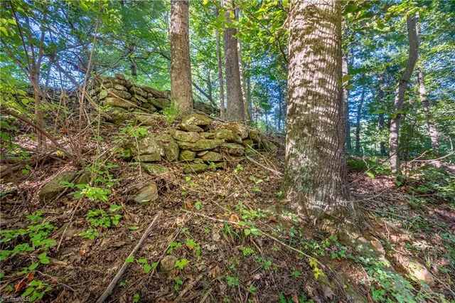 $179,900 | 0 Cox Store Road Southwest, Floyd, VA 24091