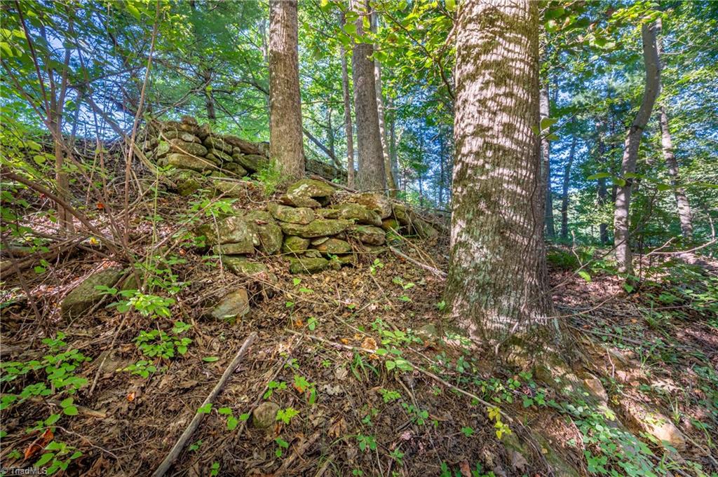 0 Cox Store Road Southwest Floyd, VA 24091 - Photo 36 of 39