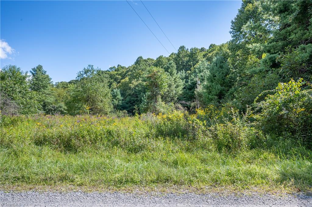 0 Cox Store Road Southwest Floyd, VA 24091 - Photo 39 of 39