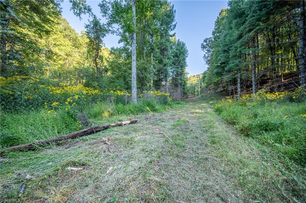 0 Cox Store Road Southwest Floyd, VA 24091 - Photo 5 of 39