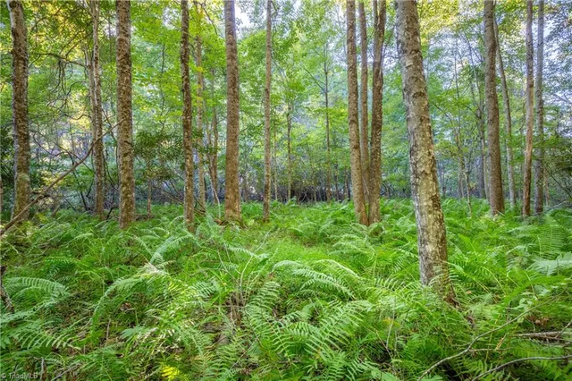 $179,900 | 0 Cox Store Road Southwest, Floyd, VA 24091