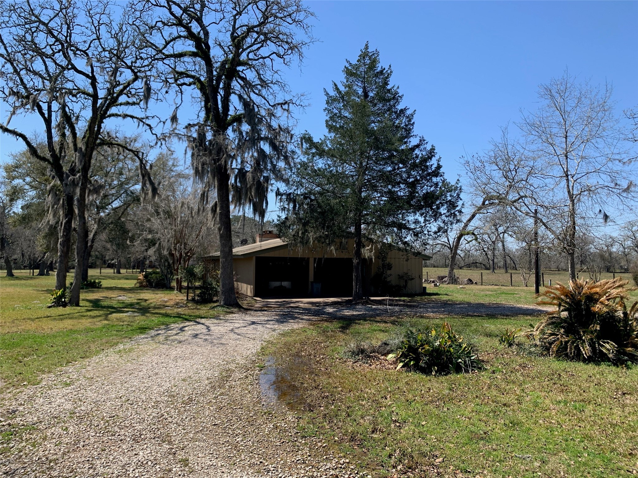 29229 Sheffield Road Waller, TX 77484 - Photo 12 of 16 View of the mature trees that are beautifully decorated with Spanish Moss perfectly framing the entrance to the attached carport.