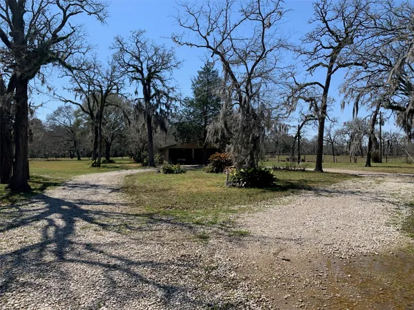 a view of outdoor space with trees