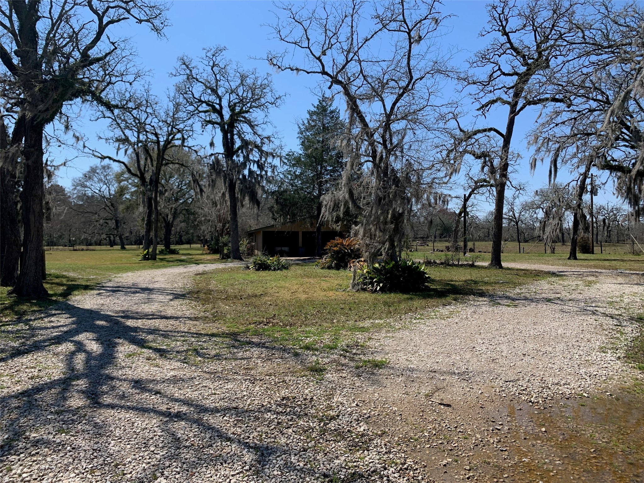 29229 Sheffield Road Waller, TX 77484 - Photo 16 of 16 View from the driveway looking towards the house.