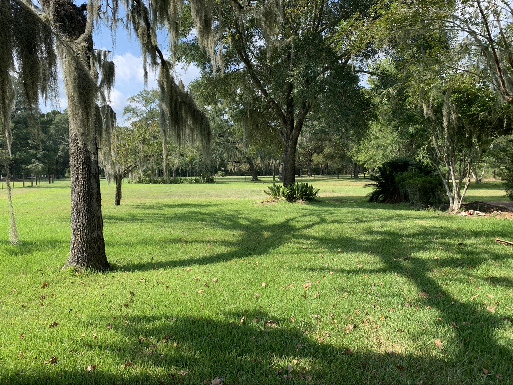 29229 Sheffield Road Waller, TX 77484 - Photo 3 of 16 The property is has tons of mature trees with Spanish moss.