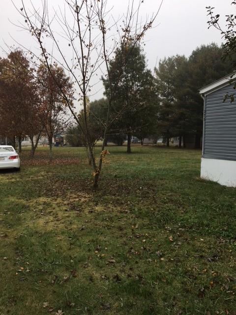 275 Cut Off Road Murfreesboro, TN 37129 - Photo 17 of 18 Gallery Image 17