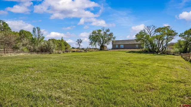 a backyard of a house with plants and large trees