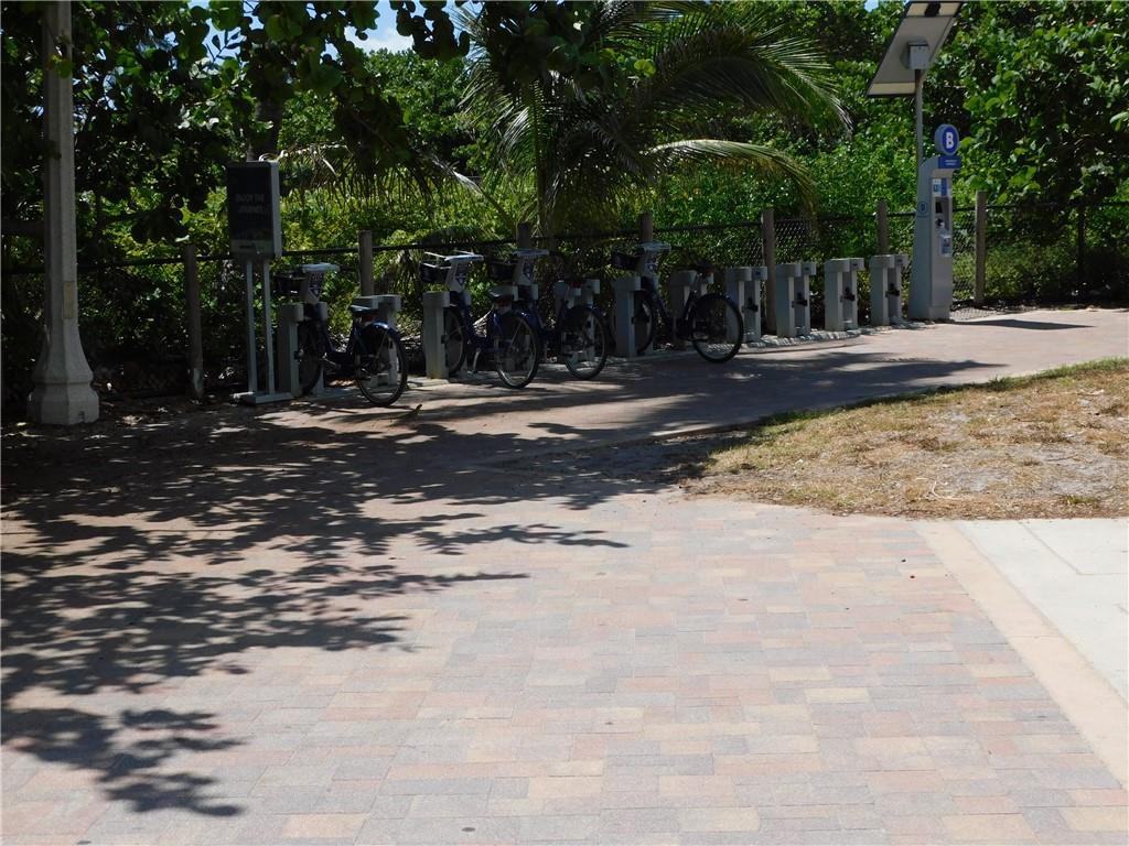 901 South Surf Road, Unit 306 Hollywood, FL 33019 - Photo 9 of 44 a view of a yard with plants and trees