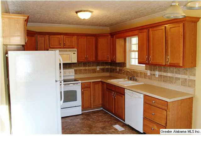 156 Ember Lane Ohatchee, AL 36271 - Photo 4 of 32 Gallery Image 4