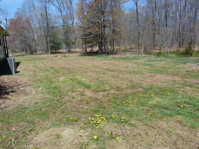 247 Hillcrest Villa Road Manchester, TN 37355 - Photo 14 of 17 Gallery Image 14
