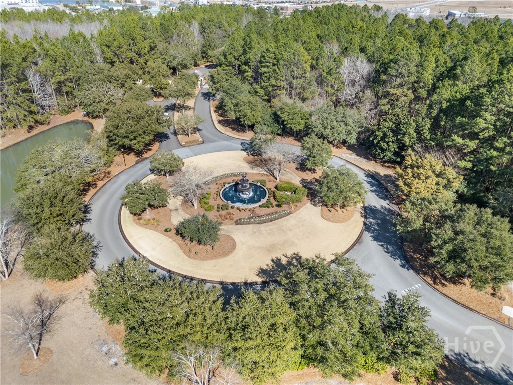 232 Bircholt Grove Pooler, GA 31322 - Photo 45 of 50