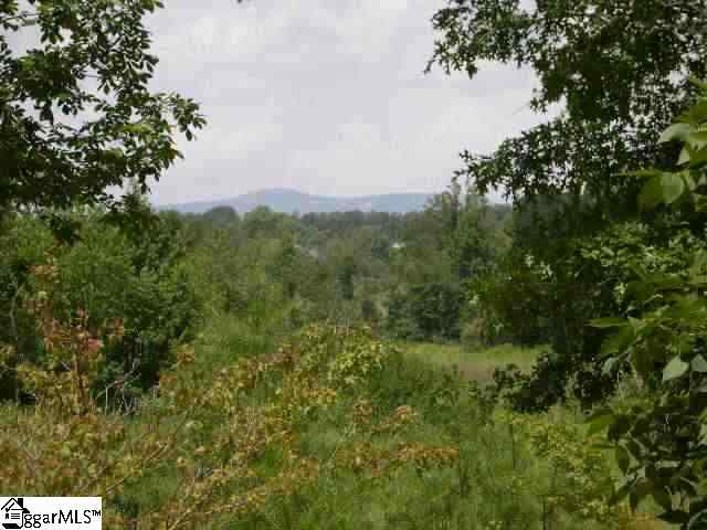 0 Donahue Road Greer, SC 29651 - Photo 1 of 8