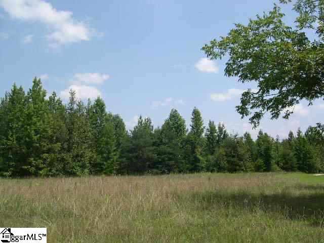 0 Donahue Road Greer, SC 29651 - Photo 3 of 8