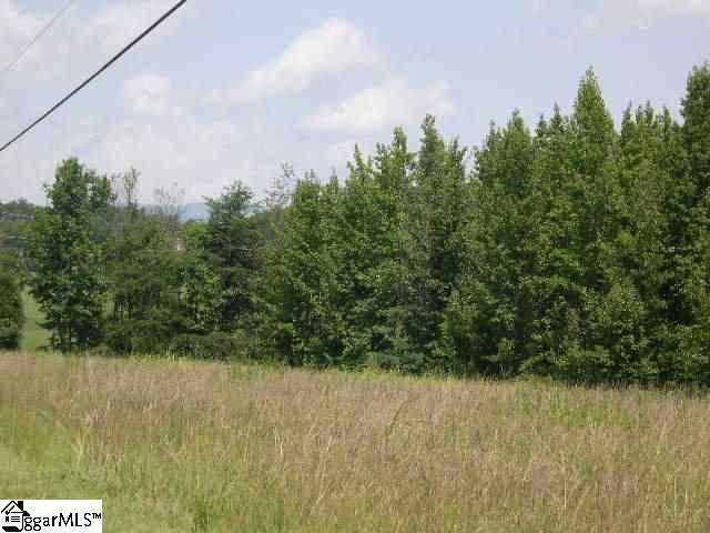 0 Donahue Road Greer, SC 29651 - Photo 4 of 8