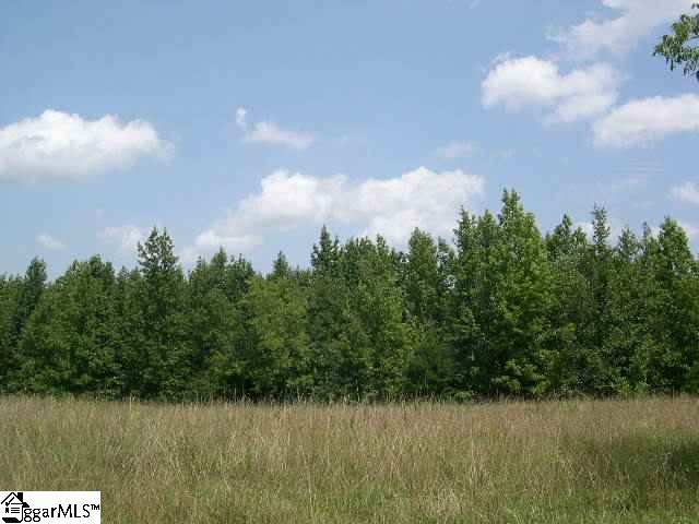 0 Donahue Road Greer, SC 29651 - Photo 5 of 8