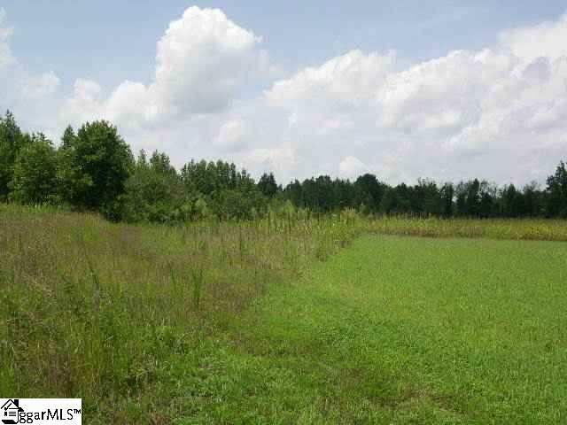 0 Donahue Road Greer, SC 29651 - Photo 6 of 8