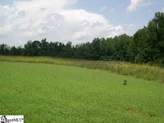 0 Donahue Road Greer, SC 29651 - Photo 7 of 8