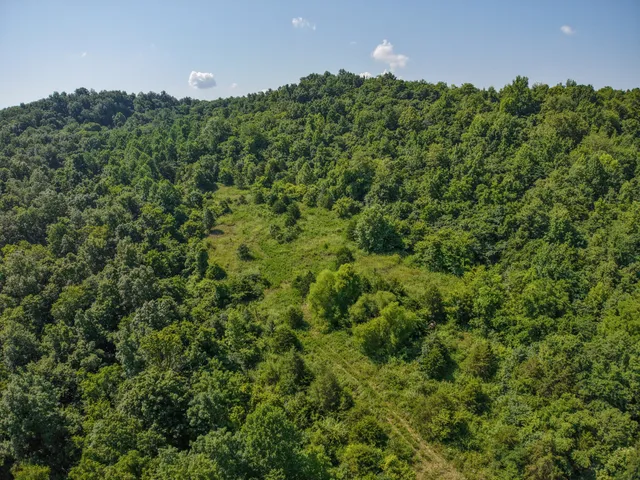$1,400,000 | 0 Winchester Highway, Kelso, TN 37348