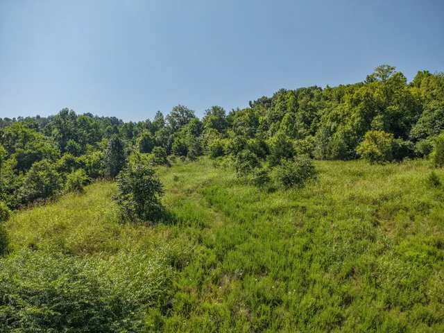 $1,400,000 | 0 Winchester Highway, Kelso, TN 37348