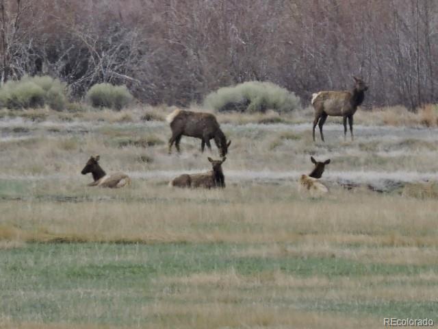 6965 Trinchera Ranch Road North Fort Garland, CO 81133 - Photo 21 of 40 Gallery Image 21