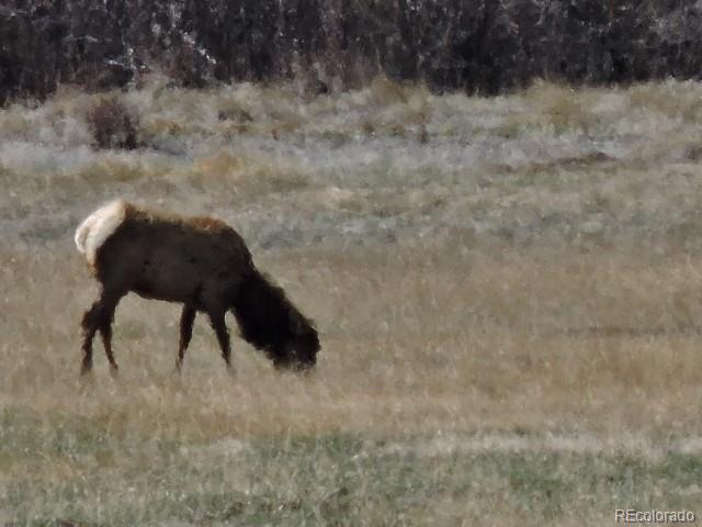 6965 Trinchera Ranch Road North Fort Garland, CO 81133 - Photo 34 of 40 Gallery Image 34